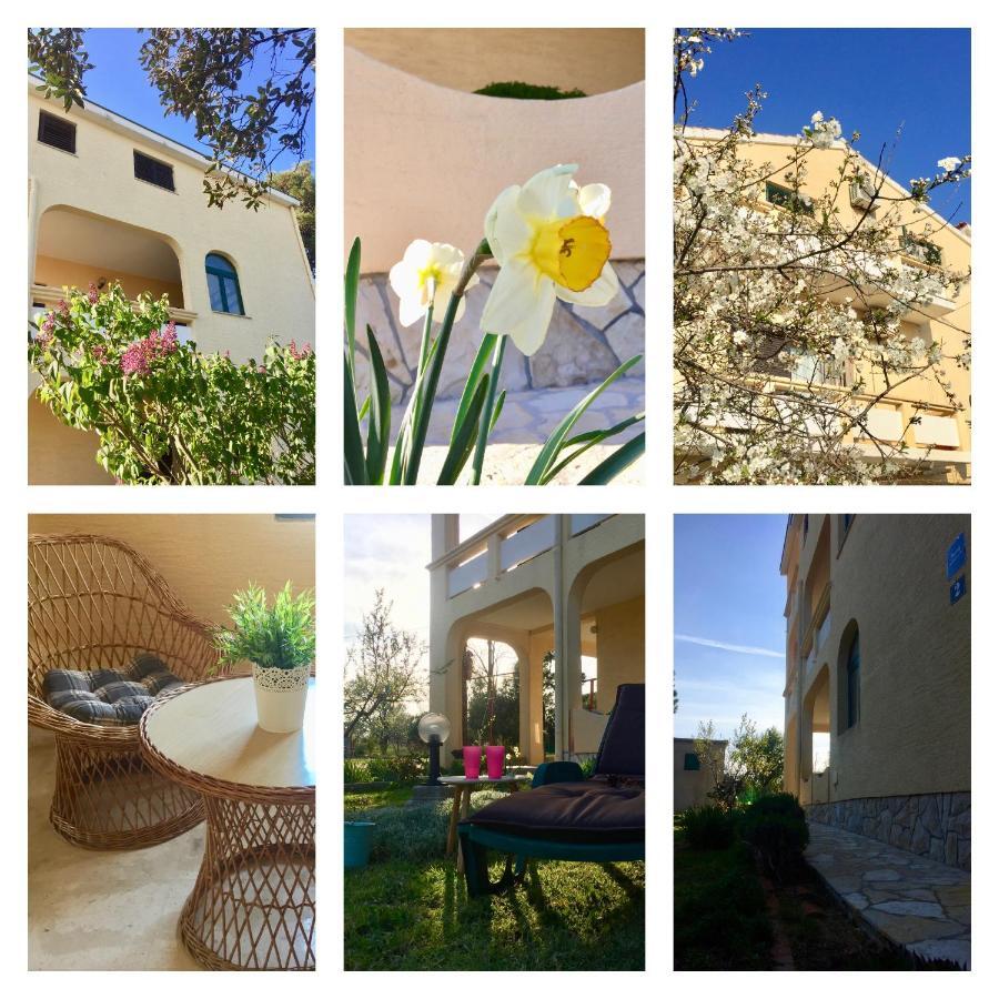 Sobe Bosiljka Hotel Nin Exterior photo